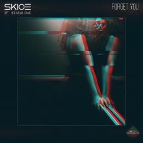 SKICE FEAT. NICK MCWILLIAMS - FORGET YOU